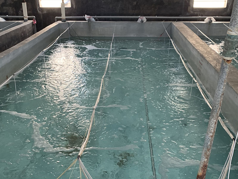 灰色水性養殖漆