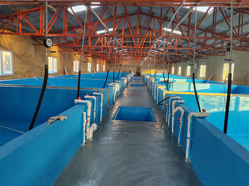 藍色養殖漆施工