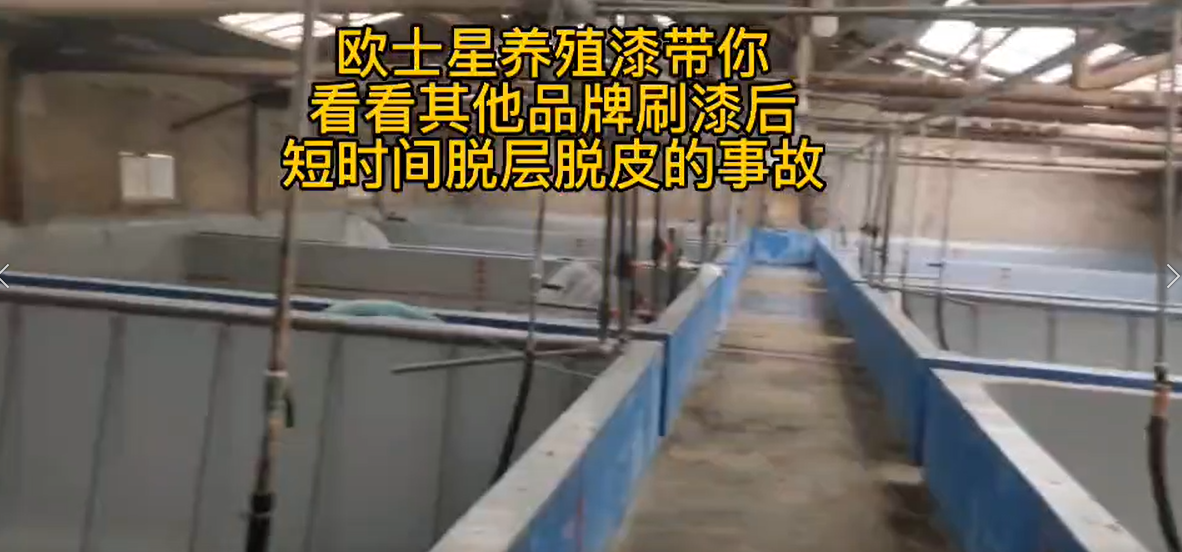 歐士星養殖漆施工提示（脫層脫皮）