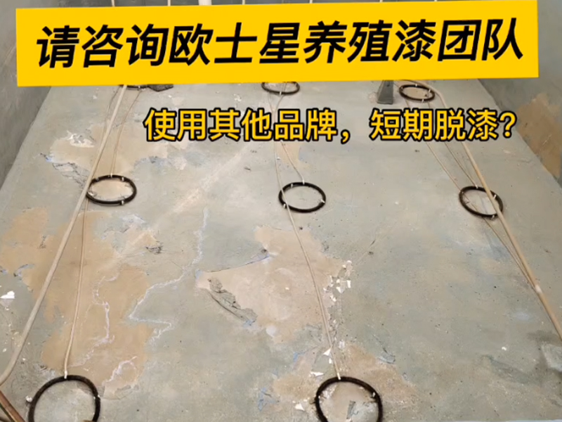 曾經刷養殖漆或者即將要刷養殖漆的朋友們，如果遇到刷完養殖漆短時間脫漆請咨詢歐士星養殖漆團隊，可免費解答您的困惑！