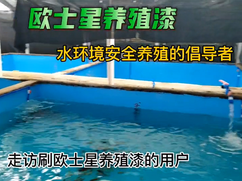 走訪刷歐士星養殖漆的用戶，用戶自己的工人刷完漆放水養殖東星斑一個多月，養殖順利，翻新，一桶漆刷了7個池子，工人施工方便，歐士星養殖漆無異味，藍色深的比淺的養殖漆有助于減少養殖環境對東星斑的應激，技術員反饋，貓在池子邊緣爬，東星斑比較淡定，養殖場可以根據環境情況選擇養殖漆的顏色的深和淺。