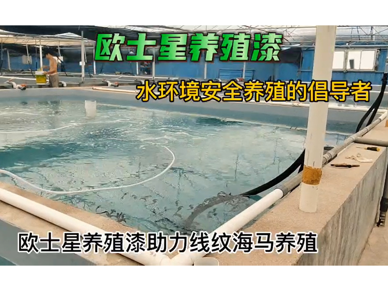 歐士星養殖漆助力線紋海馬養殖，9月19日刷完漆，10月8日回訪，放水養殖，搬馬順利。水質好，海馬狀態佳，攝食順利，刷完漆，環境好，更好養