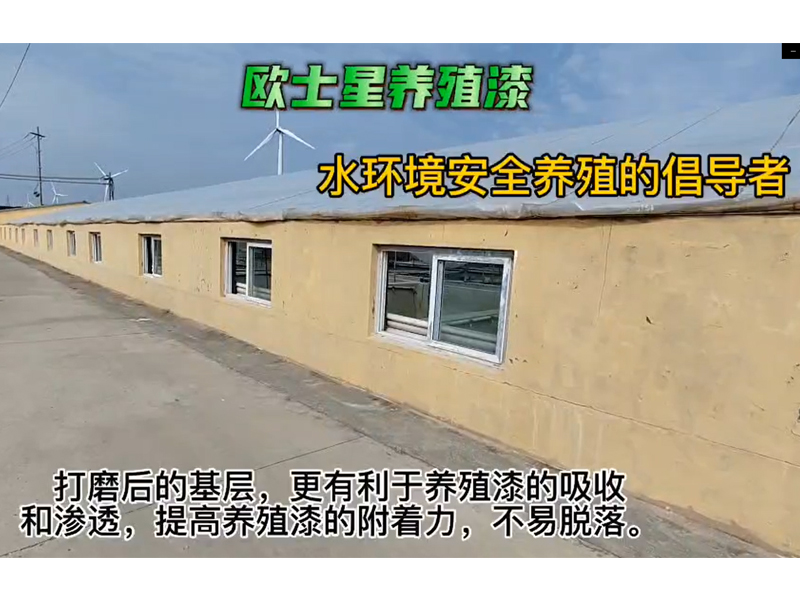 今天天氣真好，適合整理養殖池子.