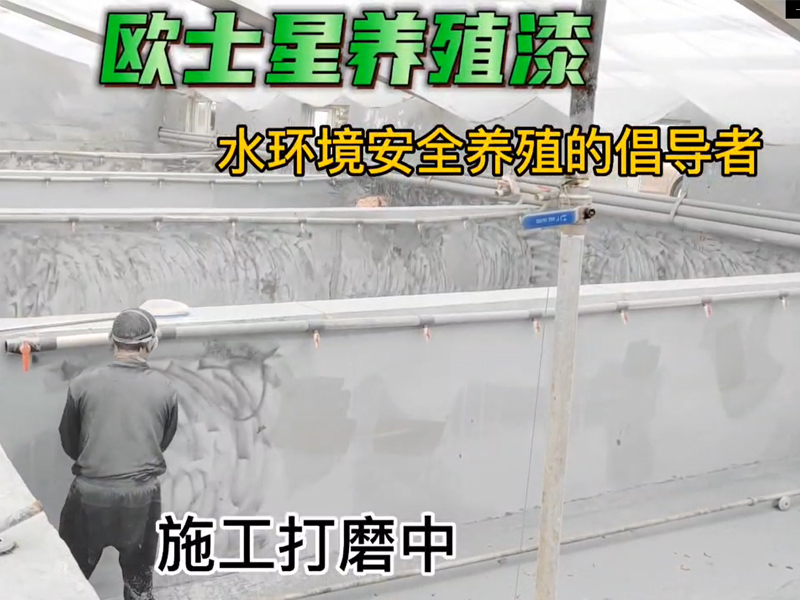 第四天打磨中，歐士星養殖漆，改善養殖環境，我們在行動中。