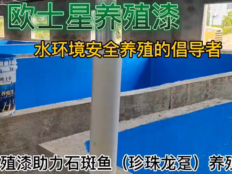 歐士星養(yǎng)殖漆助力石斑魚（珍珠龍躉）養(yǎng)殖，11月27日刷漆，12月1日放水養(yǎng)殖，魚苗活力佳，攝食順利，倡導(dǎo)水環(huán)境安全養(yǎng)殖，歐士星養(yǎng)殖漆在行動！