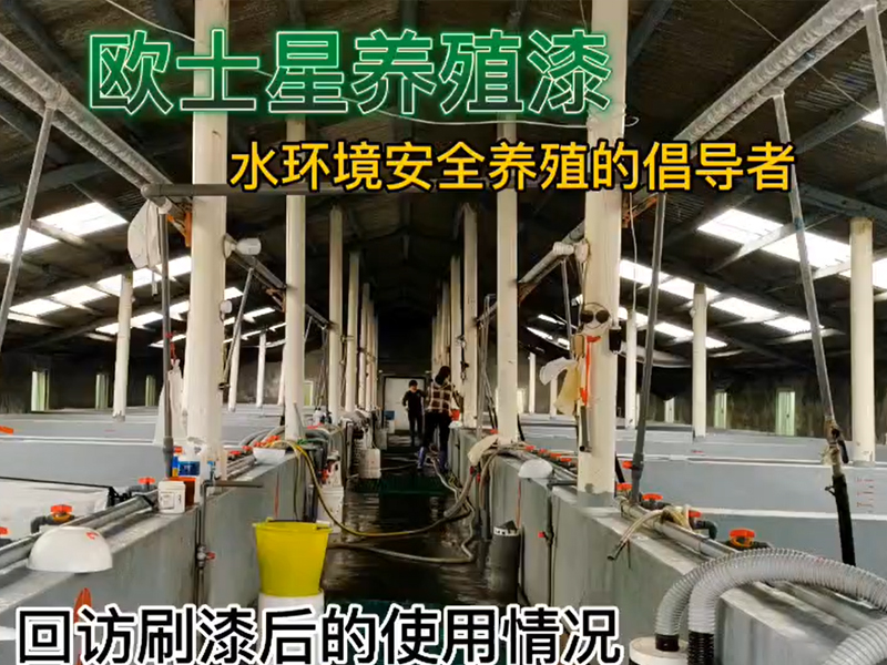 回訪刷漆后的使用情況，11月8日刷完漆，12月7日回訪，蝦苗攝食狀態(tài)佳，體色亮，活力好，倡導(dǎo)水環(huán)境安全養(yǎng)殖，歐士星養(yǎng)殖漆在行動！