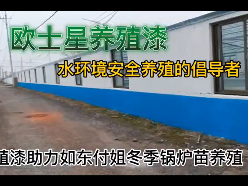 歐士星養(yǎng)殖漆助力如東付姐冬季鍋爐苗養(yǎng)殖，倡導(dǎo)水環(huán)境安全養(yǎng)殖，歐士星養(yǎng)殖漆在行動。