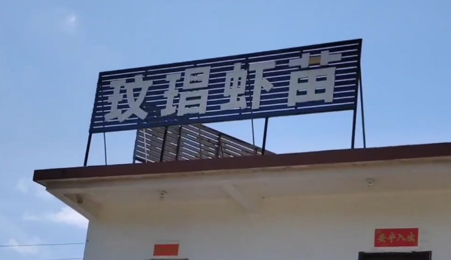 養(yǎng)殖漆案例視頻